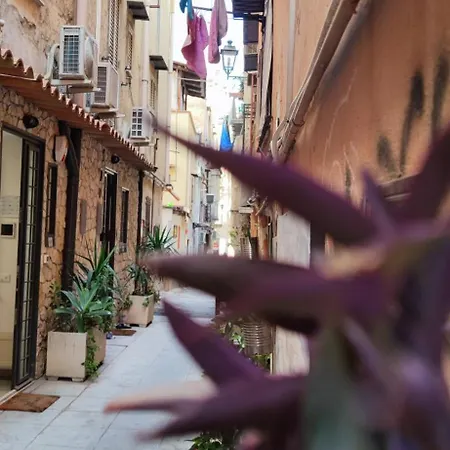 Mama5 * Palermo